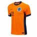 Maillot de foot Pays-Bas Denzel Dumfries #22 Domicile vêtements Europe 2024 Manches Courtes